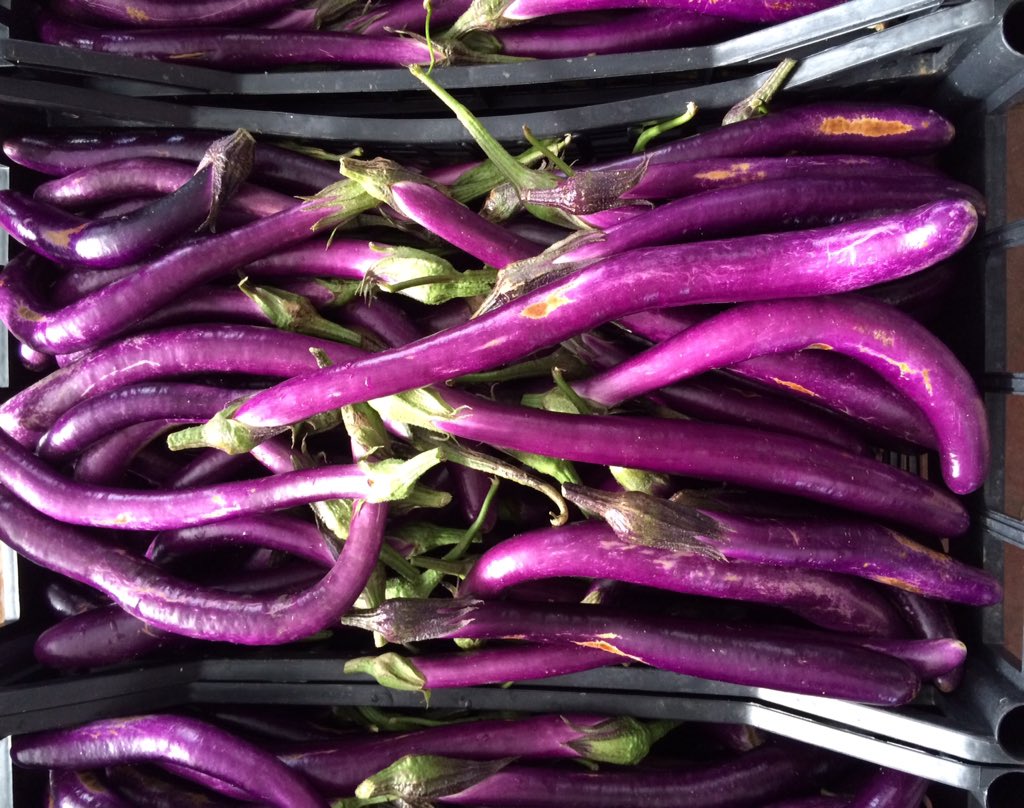 jennaoesch's tweet photo. Amazing vegetables in Italy! https://t.co/EMmvnmA23y