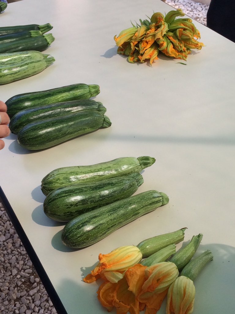 jennaoesch's tweet photo. Amazing vegetables in Italy! https://t.co/EMmvnmA23y
