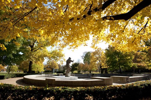 Elmhurst Admissions tweet media