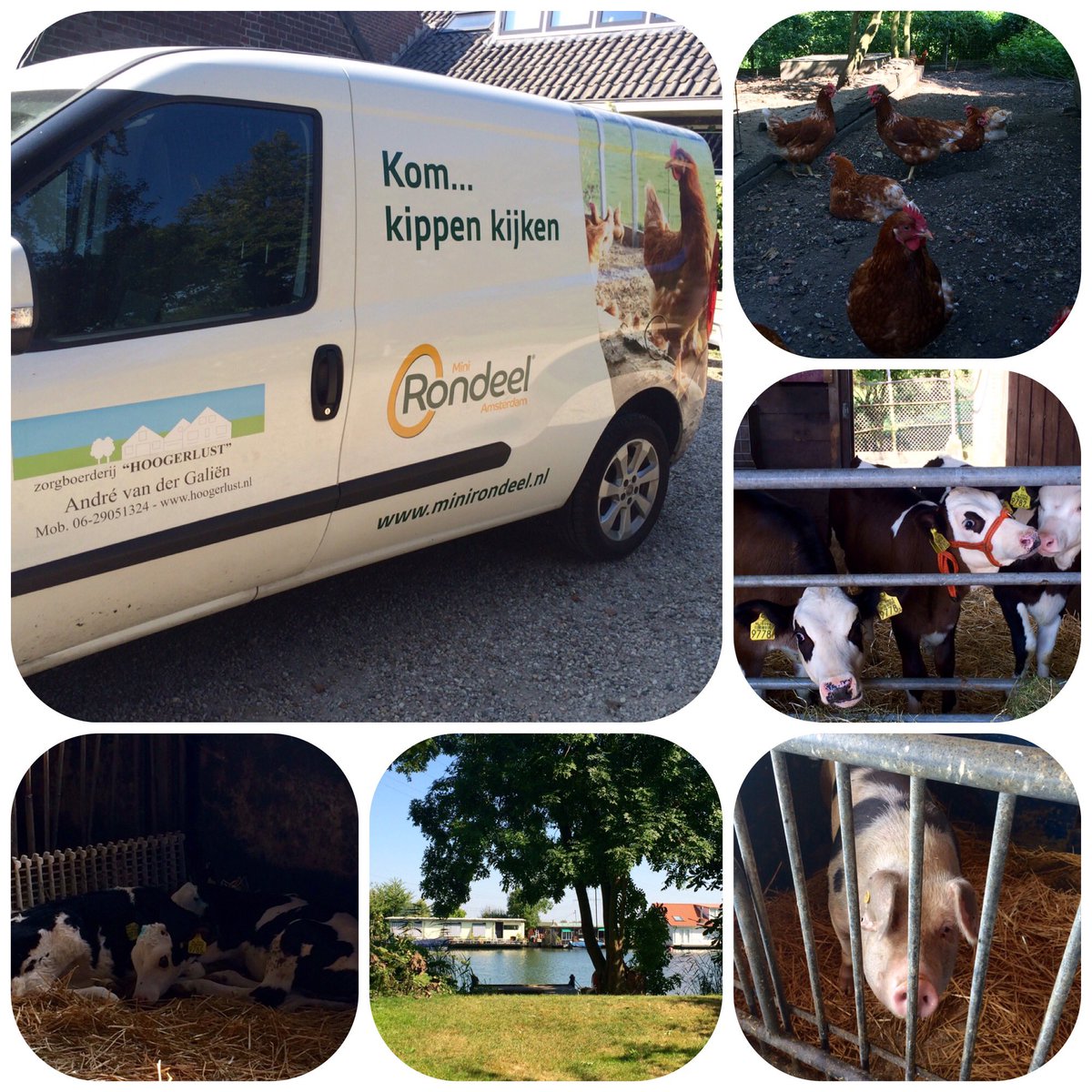 Leuke #zorgboerderij bezocht van onze nieuwe beheerder van <a href="/mini_Rondeel/">Rondeel Amsterdam</a> #Amsterdam. hoogerlust.nl