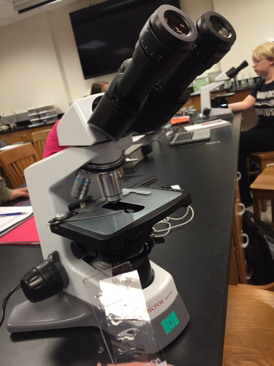 toriwebs's tweet photo. Finding "little water bears" in #106Week4 @UNKBiol106CW 🐻 https://t.co/NB4uPcC5vb