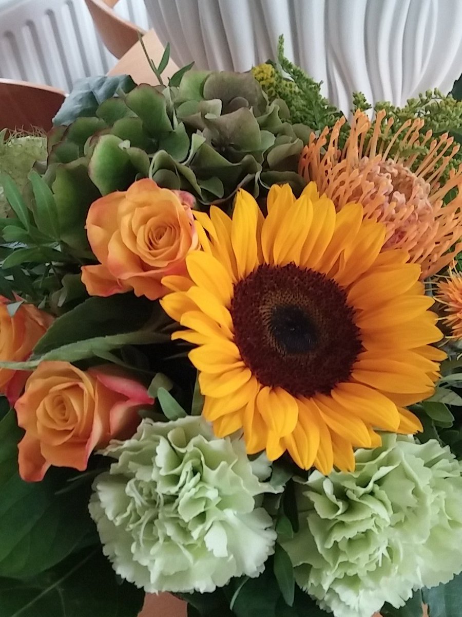 h3tslnk's tweet photo. Weer een mooie bos bloemen van de Jong &amp; Laan voor mijn verjaardag. Mooie traditie. #jonglaan https://t.co/Iwk2SklSf8