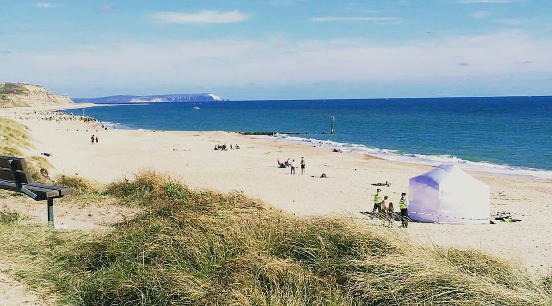 stevemccarten's tweet image. What crime scene? @Kickstarter kck.st/2bXlk7i #SupportIndieFilm #faithlessmovie @Nickyfar #seangilder