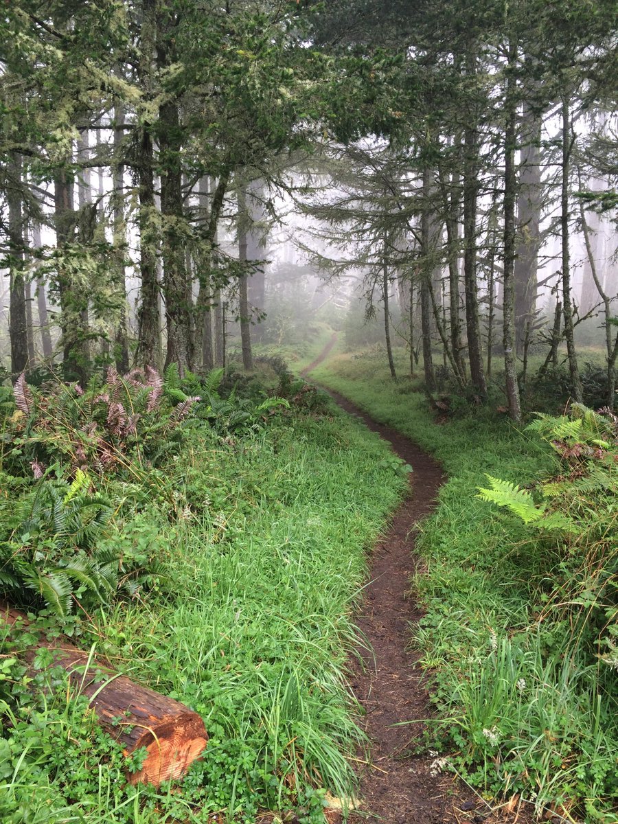 CoolNaturePhoto's tweet photo. Sky Trail, Point Reyes National Seashore, California, USA https://t.co/6HiGz73NSA