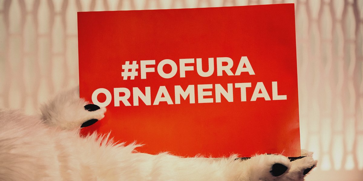 OUrsoOficial's tweet photo. #Resultado: #MeuNovo #BearFF @TomRio2016 é #Ouro em #FofuraOrnamental 😍 #JogosParalímpicos #Rio2016 #IssoÉOuro https://t.co/6hJkVRAuts