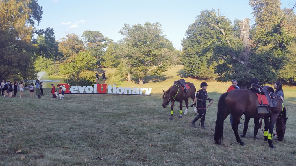 snoooooooooot's tweet photo. Horses and dogs. #cdcommunityday #rutgers https://t.co/2dWbiOELV5