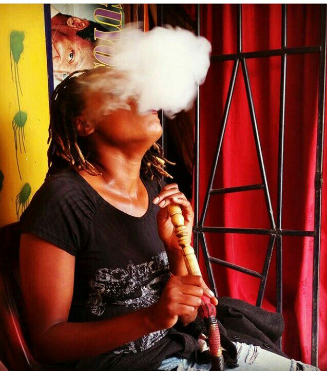 bentapeterc's tweet image. Pufpuff