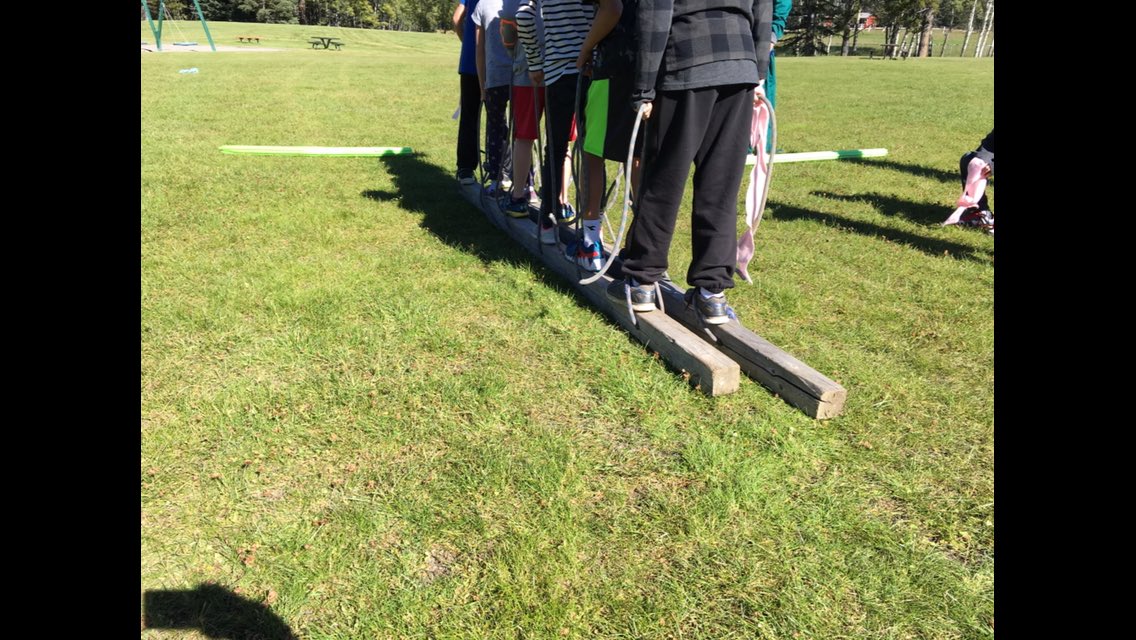MacFarquharS's tweet photo. In team building we had to move together by taking one step at a time on the wood. #teampull https://t.co/pOrs4FKulT
