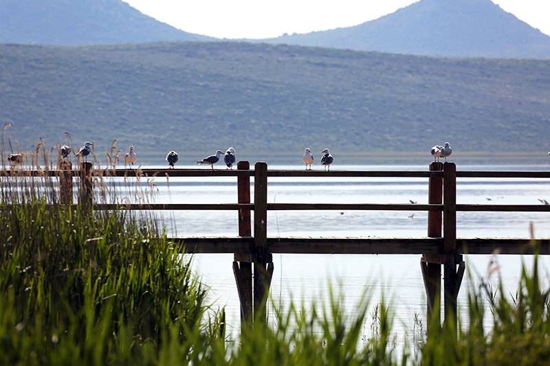 CroCruising's tweet image. Near #Murter, you can find the biggest lake in #Croatia: Vransko jezero. Photo: facebook.com/vranskojezero