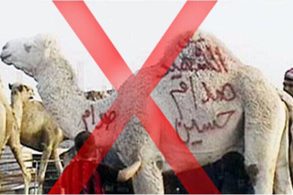 استاذاردني بجامعة مؤتة بالكرك يذبح بعير اضحية للمقبورصدام منذ10سنوات! لو فطس البغدادي ماذاسيذبح له جاموسة ام ديناصور