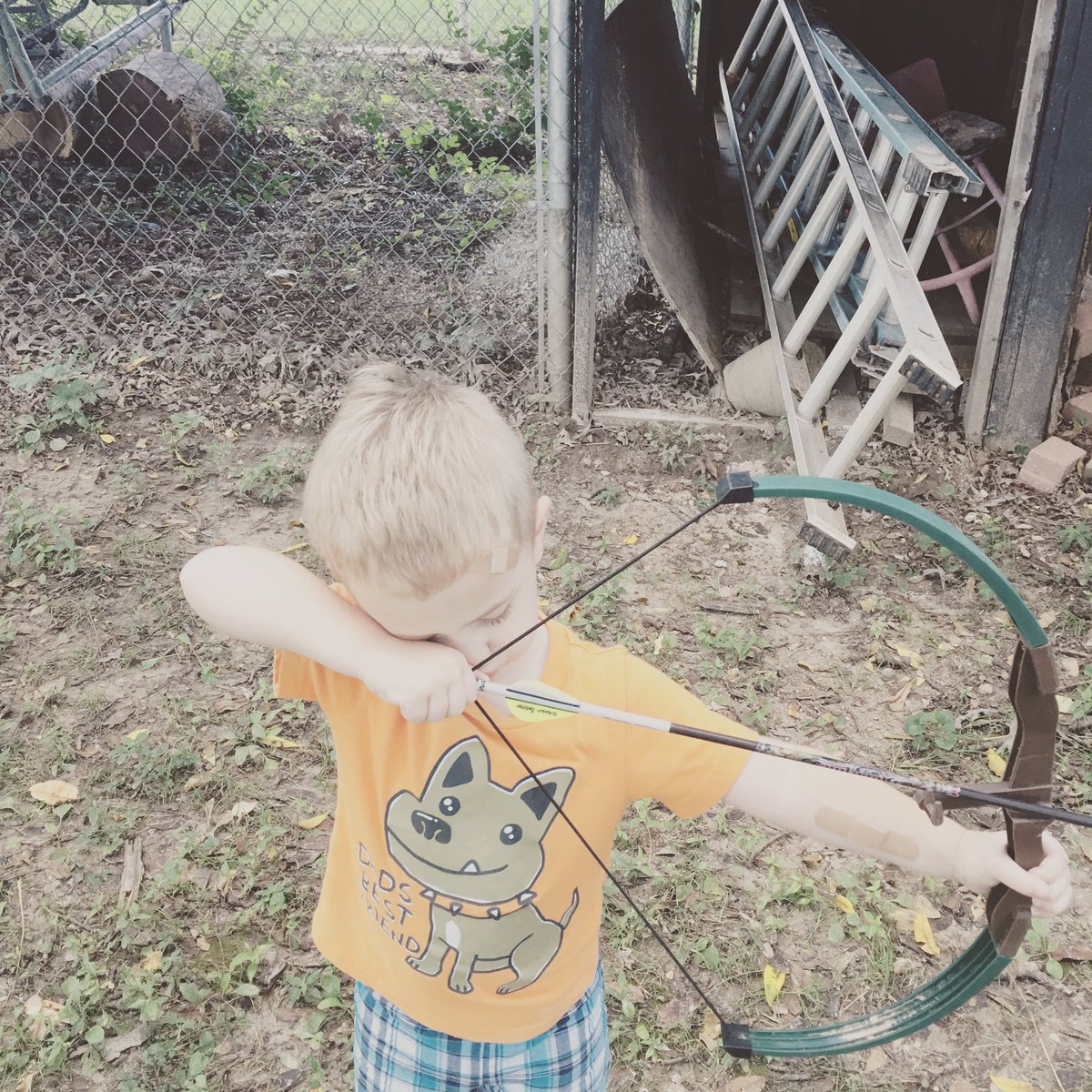 Archers_Pursuit's tweet photo. I think he prays before every shot, just like dadda ! #prayer #futurebowhunter https://t.co/BPh0mqb9QV
