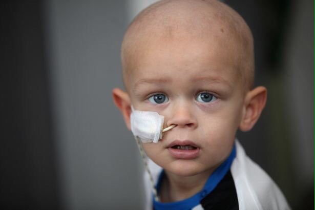 After the success of Bradley being SAFC mascot last night, I think it's time <a href="/NUFC/">Newcastle United</a> done the same for <a href="/HelpFrankie/">help frankie dance!!!</a>!