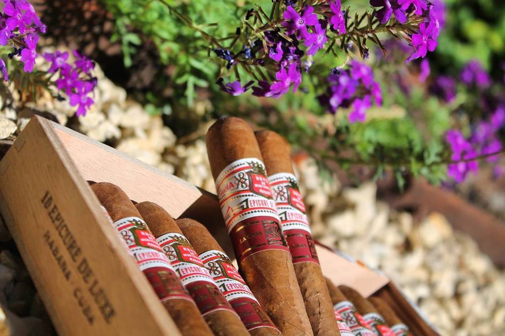 CigarsMyLife's tweet photo. Hoyo de Monterrey Epicure de Luxe ECDH #available #orders📥 #cigars #cigarsmylife #cigaroft… https://t.co/lklvd7xfI4 https://t.co/s6FYJspeCs