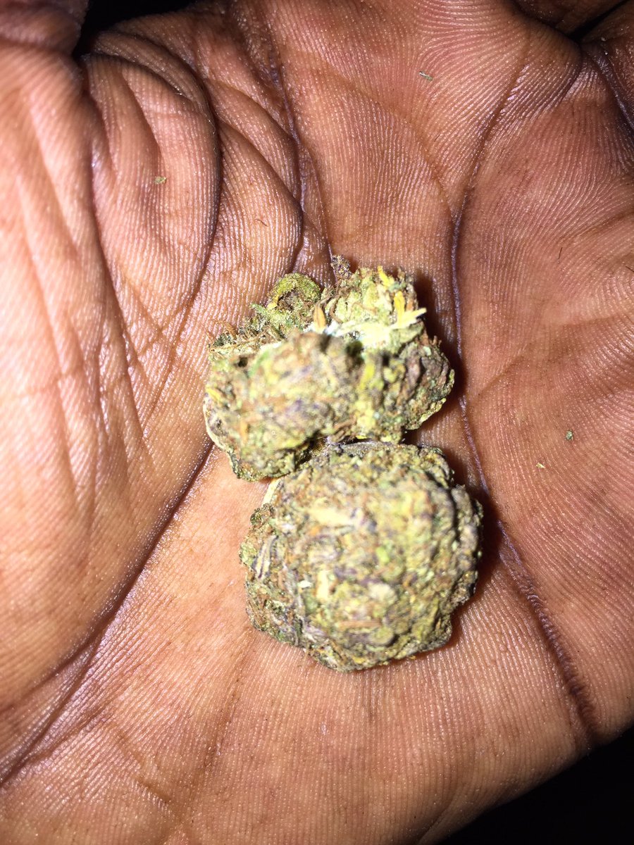 5Finest1's tweet photo. Why They Call You Lil Black When You Smoking Purp 😈⛽️💯‼️ https://t.co/POgD4BjRtf
