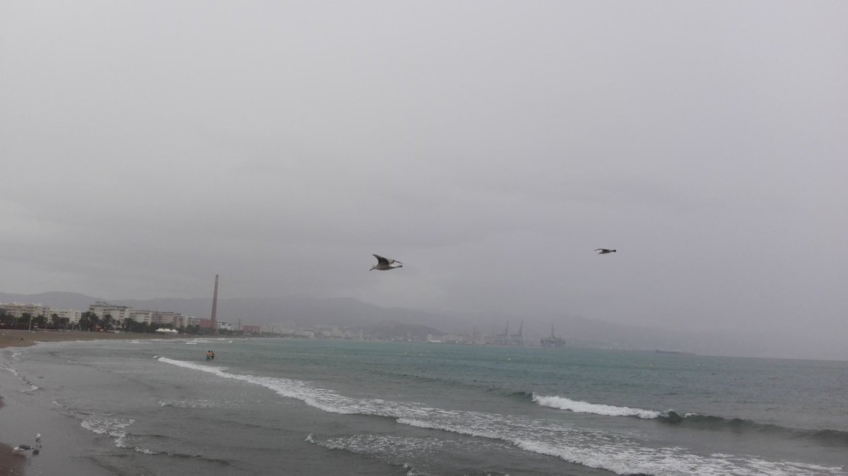 Antonio Angel Salado (@antonioangelsa2) on Twitter photo 