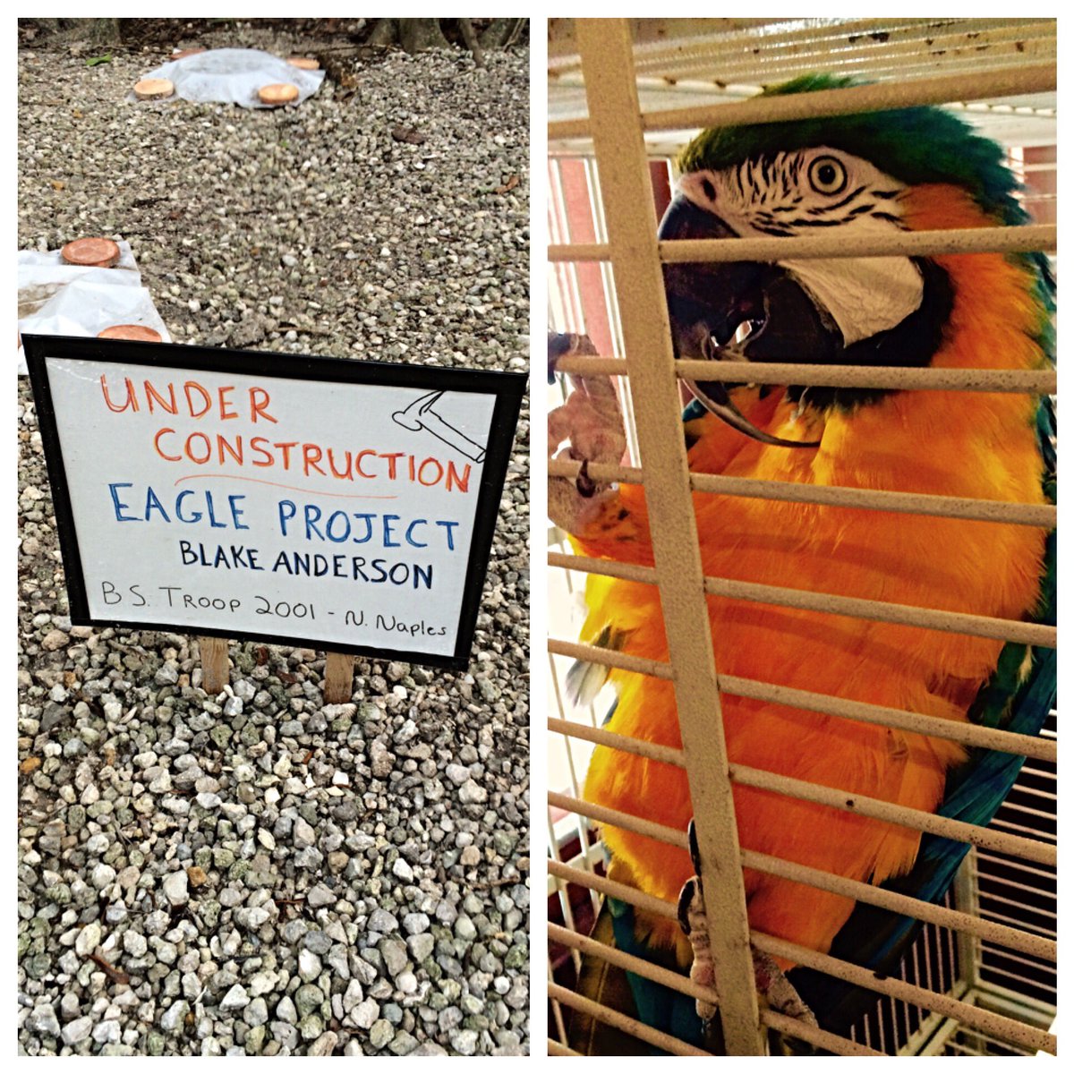 WonderGardens tweet media