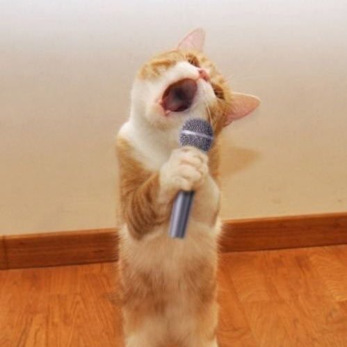 TrioKaraoke's tweet photo. Trio karaoke anyone?! π€ We have 2 dance floors too πΌπ #PDXNightLife #Karaoke #TwoDanceFloors #DJs https://t.co/LRZGfqonGZ