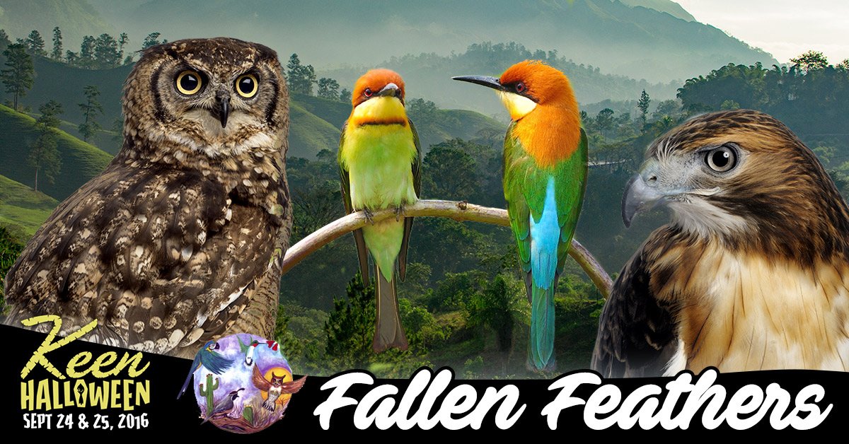 keenhalloween's tweet photo. Fallen Feathers will be providing photo opportunities with their birds at #KeenWeen https://t.co/jRyg36CM60 https://t.co/yvwJE2IfVK