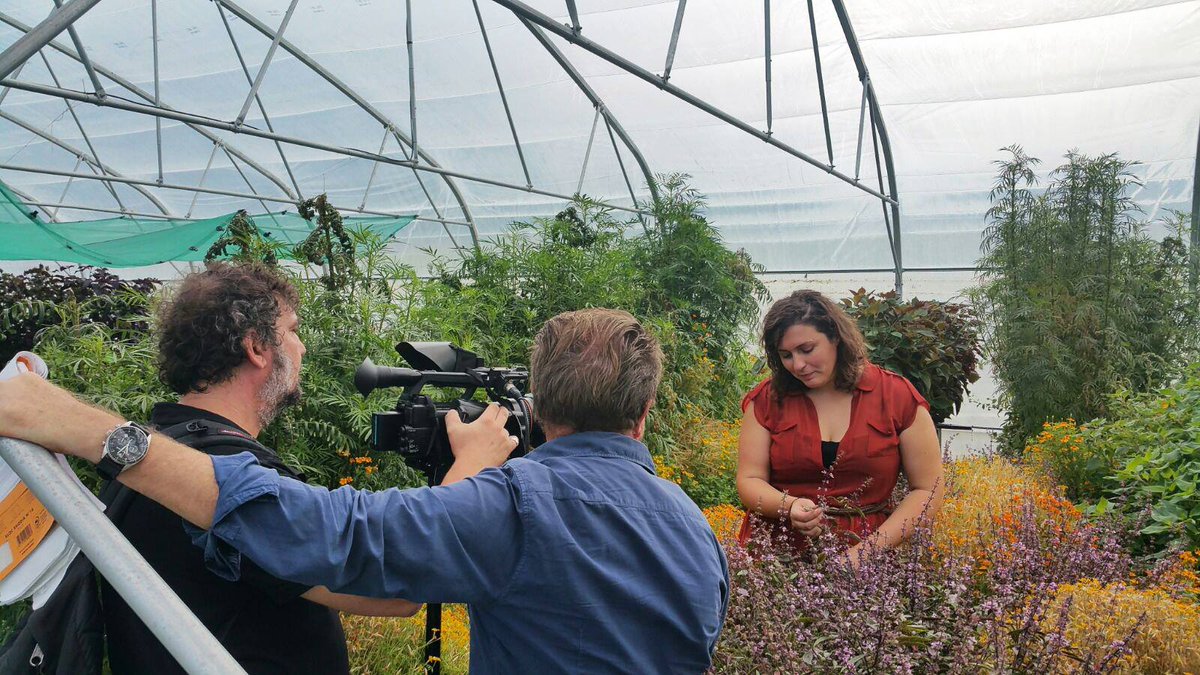 Retrouvez-nous bientôt sur le JT de France 3 !! Où nous parlerons #hydroponie, #aquaponie, et formations...