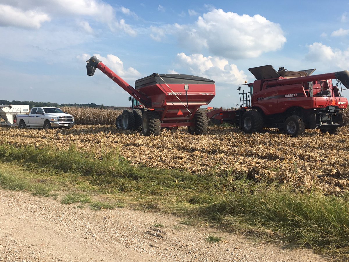 Dennis Vollrath tweet media