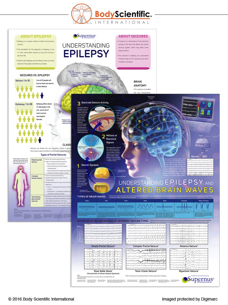 Brain Waves Chart