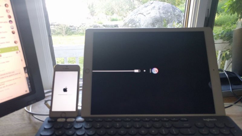 Gizmodo's tweet photo. Beware: Apple's iOS 10 update bricks some iPhones and iPads https://t.co/VkeA5dkGhh https://t.co/EPxKGeayBH