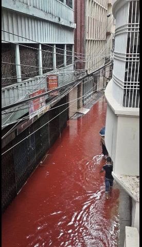 TheMindBlowing's tweet image. Dhaka (Bangladesh) streets are flooded by rainwater mixed with blood of goats and cow slaughtered.