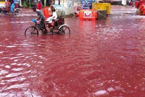 TheMindBlowing's tweet image. Dhaka (Bangladesh) streets are flooded by rainwater mixed with blood of goats and cow slaughtered.
