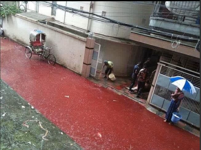 TheMindBlowing's tweet image. Dhaka (Bangladesh) streets are flooded by rainwater mixed with blood of goats and cow slaughtered.