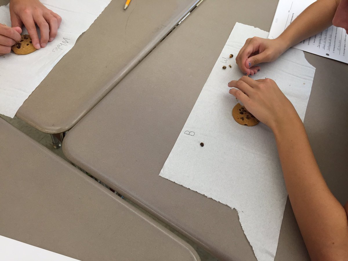 MrsKilbrideLMS's tweet photo. Students hard at work excavating chocolate chips from cookies. Future archaeologists! #MrsKilbrideLMS https://t.co/fFRVHqBn5S
