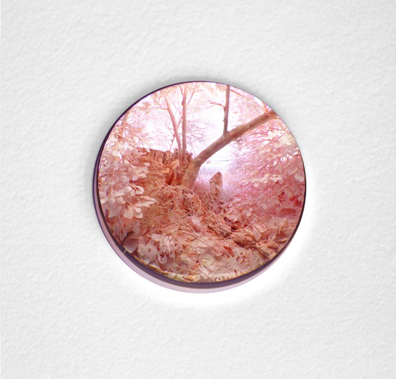 PierogiGallery's tweet photo. #PatrickJacobs, "Pink Forest with Stump," 2016, Mixed media, Diorama viewed through 2.75" lens https://t.co/SvPaoFXoCp
