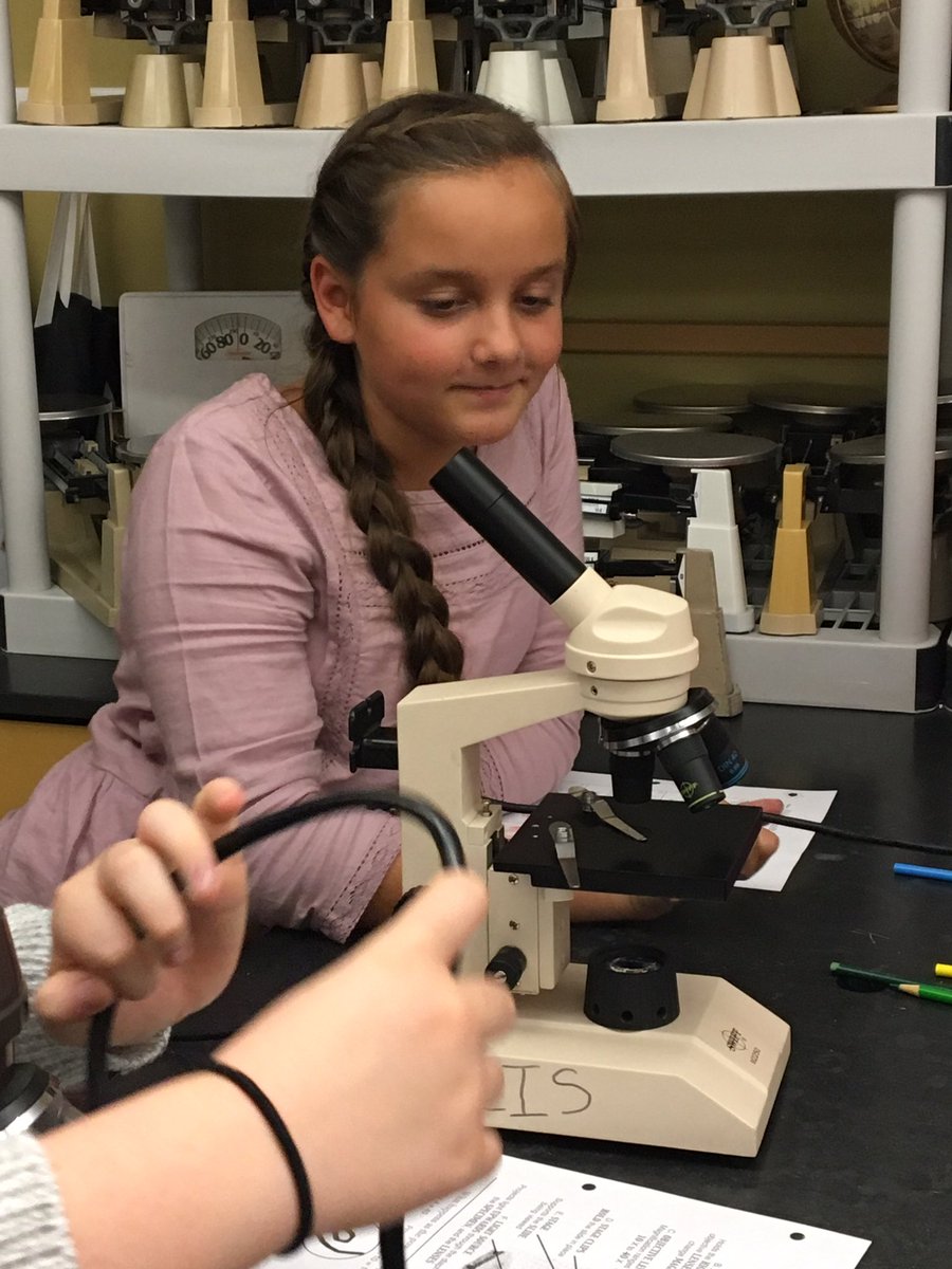 PPS_Science's tweet photo. GR6 Mrs. Jepson @PCISFalcon in the lab using microscopes to collect evidence #NewSTEFramework https://t.co/T780EbQ2Jv