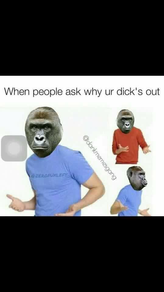 Brorannasoreass's tweet photo. #itsnotyouits my nigga Harambe https://t.co/AClpTrRLwd