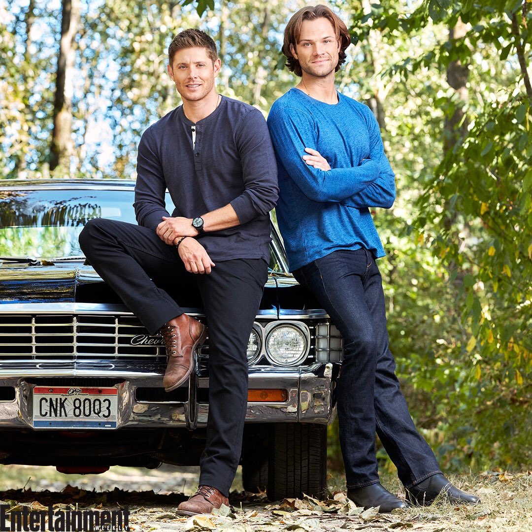 JaredAsNature's tweet photo. Jared Padalecki featuring Jensen Ackles as a beautiful blue sky seen through the forest 🌳🌲#SupernaturalDay https://t.co/Ywx4ezDydf