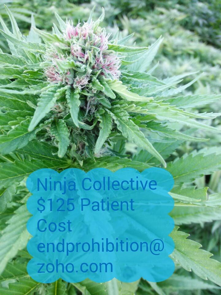SFXProhibition's tweet photo. #NoAuma #NoProp64 #Trimmigrant #BadMJLaw #MJFraud Pass #Auma or #OutdoorMJBans Kills #MMJ &amp; All Rights to this #MMJ https://t.co/uACeIip5Yt