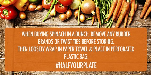 foodbloggersCA's tweet photo. How to store spinach! #Themoreyouknow #HalfYourPlate https://t.co/vNZadHuRE9