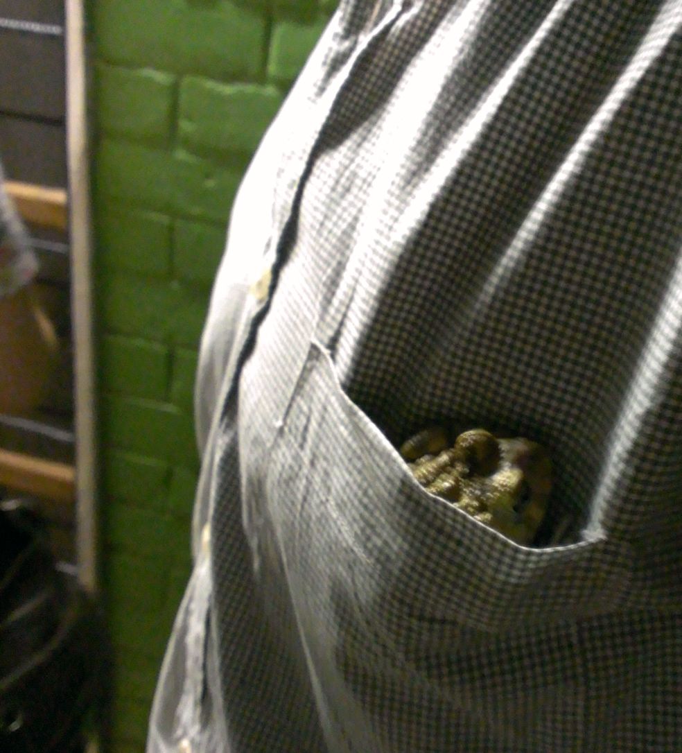TravelWandering's tweet photo. Pocket frog. Could this be the newest fashion? #pocketfrog https://t.co/jIlJaQ5L5Y