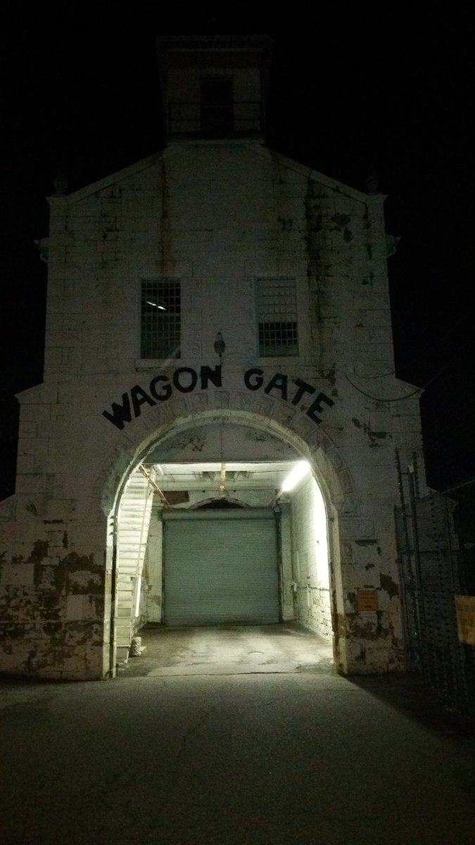 gotghost4us's tweet image. 