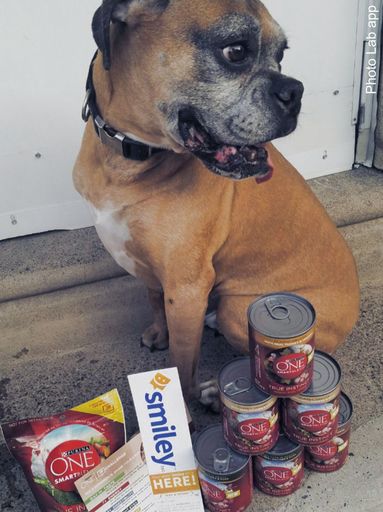 NaturallyaDiva's tweet image. See the difference. #ONEdifference #FreeSample landing.smiley360.com/landingpage147…