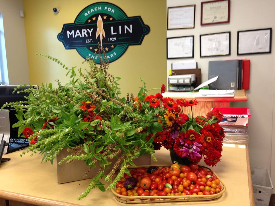 LinFoundation's tweet photo. Today's bounty from @MaryLinRockets #Garden. Our wonderful teachers took it home! #outdoorclassroom #apsudate https://t.co/rCwEu0NfY4