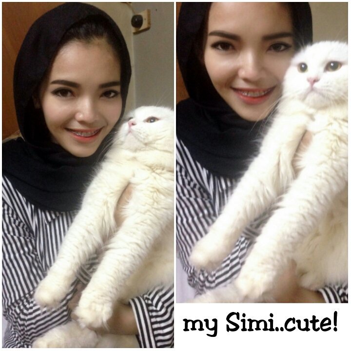 Simicute2's tweet photo. Simi my cat..look how adorable he is..😚😚 https://t.co/HJb7T4KYiF