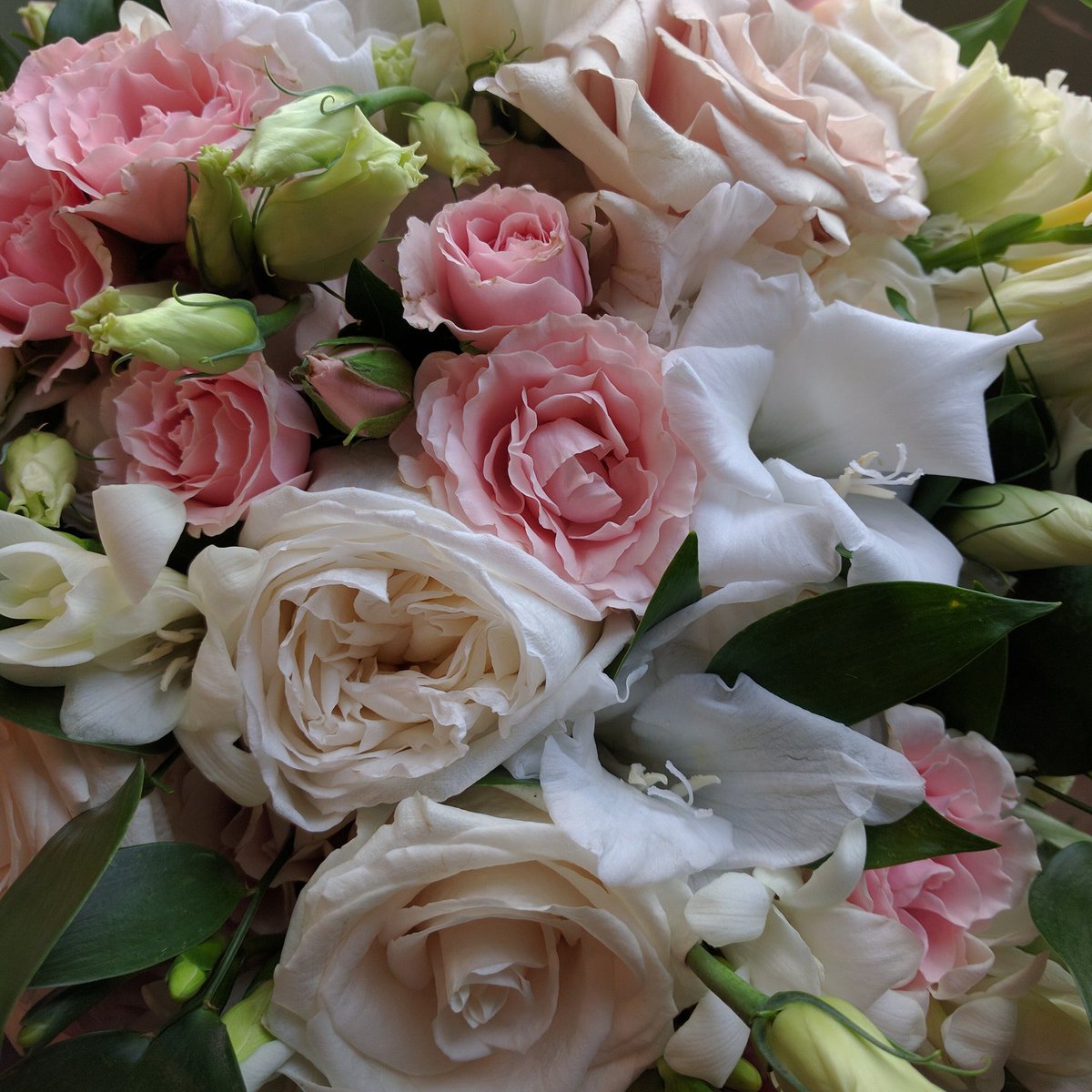 beyondflowers_'s tweet photo. Love gladiolus blooms in bridal bouquets! #winnipegweddings #winnipegjewishwedding #beyondflowers #floralelements https://t.co/PCWbicRDlL