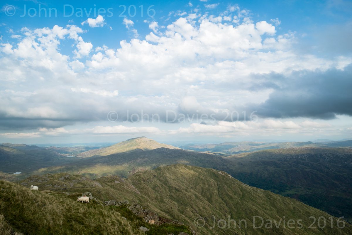 John Davies (@johndavieslive) on Twitter photo Day trips to higher ground - damaged knee descending peaks #Snowdonia @MichaelHoppen1 <a href="/Fillesducalvair/">Filles du calvaire</a> <a href="/DocPhotUSW/">DocPhotUSW</a> Day trips to higher ground - damaged knee descending peaks #Snowdonia @MichaelHoppen1 <a href="/Fillesducalvair/">Filles du calvaire</a> <a href="/DocPhotUSW/">DocPhotUSW</a>