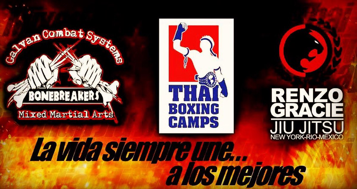 kru_perez's tweet photo. @ari_gins @GabytaZepo @mariodelgadorzm @RaulSenk @zumbi23 @campeonesmma @Solo_MMA @FightersOnly @Alusheva https://t.co/pgXhyHBybv