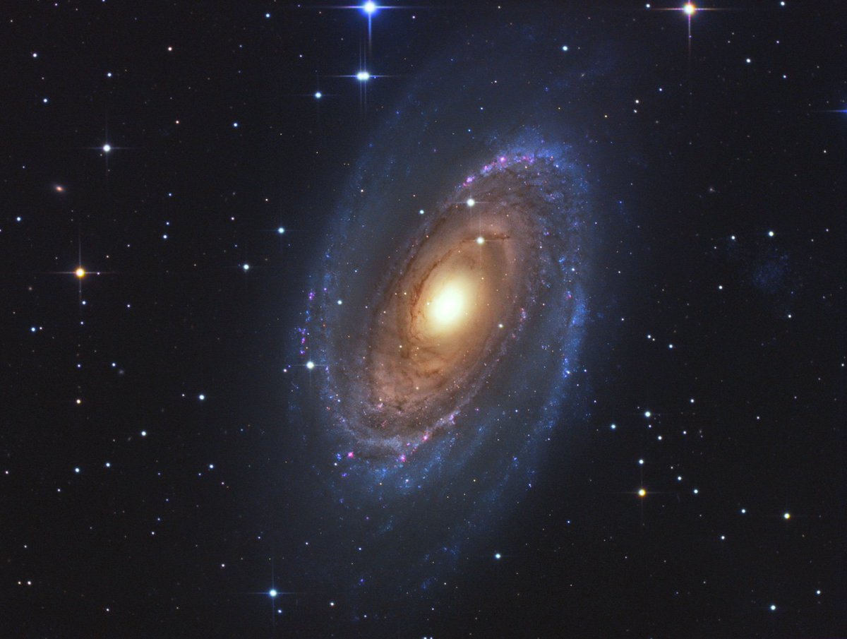 FLI_Camera's tweet photo. Gerald Rhemann took this incredible image of M81, Ursa Major, with MicroLine ML8300 in Austria. https://t.co/suSQIyc7Nm
