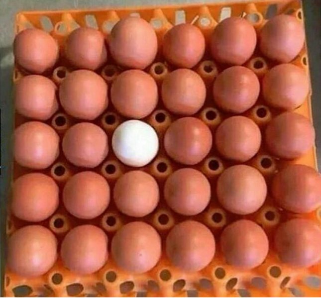 Cuando vuelves a ver a tus amigos en septiembre y todos están morenos menos tú...