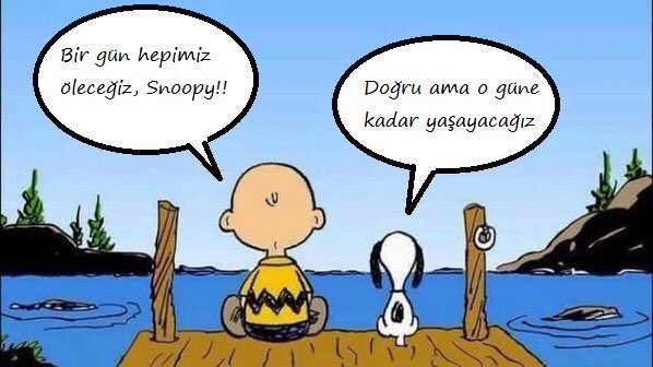 - Bir gün hepimiz öleceğiz, Snoopy!!
- Doğru ama o güne kadar yaşayacağız.