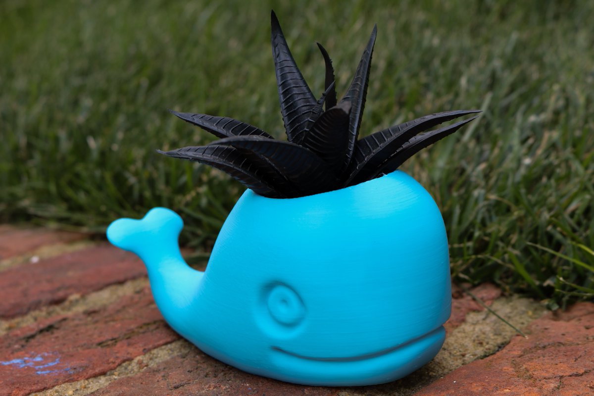 CubeForme's tweet image. Whale then. @3dcentralva&apos;s Cute Whale Planter! #3dcentral #geekcube #cubeforme