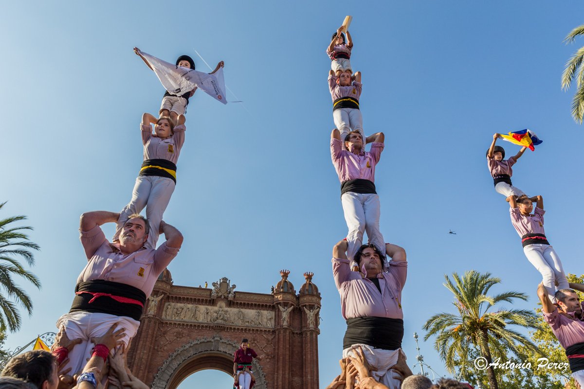 anigeron's tweet photo. @Minyons #tram38 #ArcdelTriomf #11S2016 #APunt #castellers #Humantowers +fotos: https://t.co/OlDyuFLX02 https://t.co/7A9t2gzaxh
