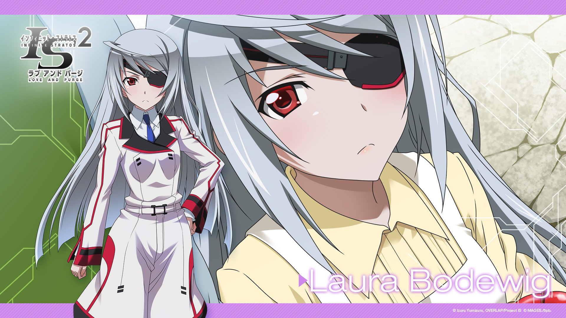 IS<Infinite Stratos>2 Love and Purge